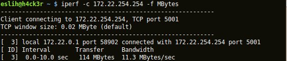 ipef-linux-client.jpg