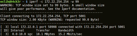 iperf buffer.jpg